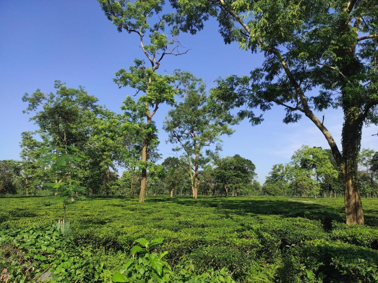 Manas Green Home Stay Jyoti Gaon Zewnętrze zdjęcie